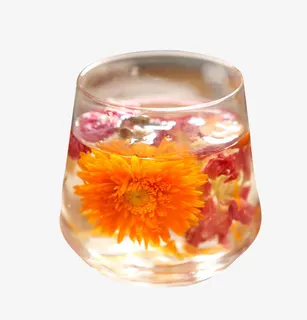 菊花泡茶免抠