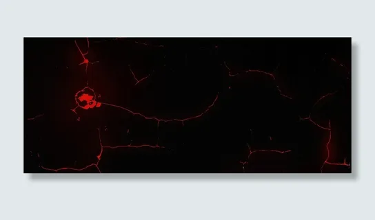 红色血丝简约医疗黑色背景高清 红色血丝简约医疗黑色背景高清