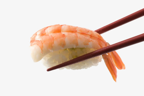 刺身 寿司免抠