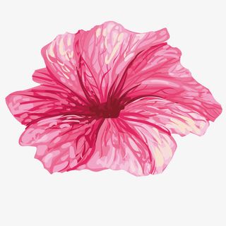 矢量紫色花朵免抠