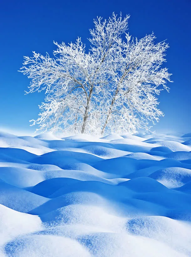 冬天雪地背景
