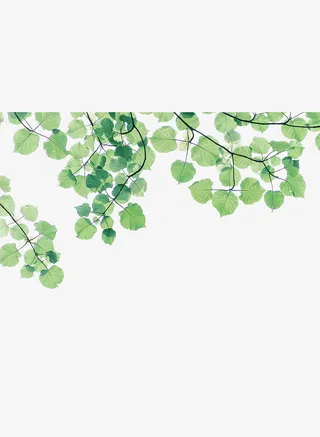 春天踏青树叶叶子绿叶免抠动植物植物元素