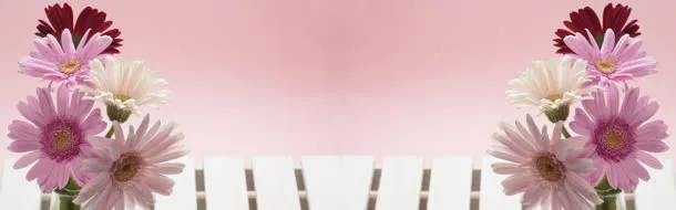 粉色唯美花瓣淘宝海报背景