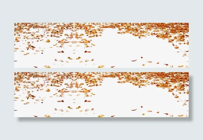 秋天的落叶免抠