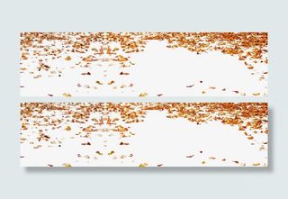 秋天的落叶免抠