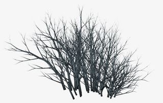 树枝黑色树枝装饰免抠