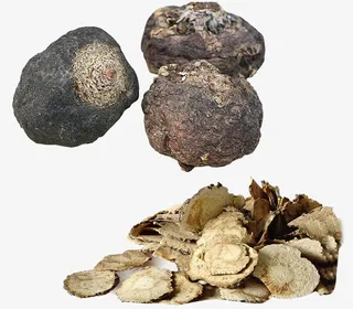 丽江黑玛咖免抠