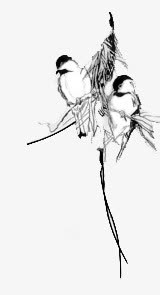 水墨树枝鸟装饰免抠