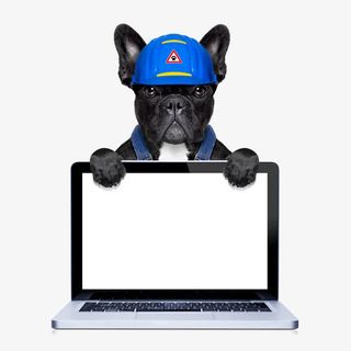 创意小狗拟人化形象设计免抠