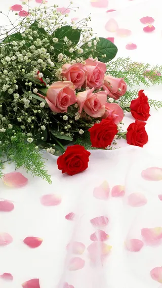 摄影婚庆H5背景素材高清