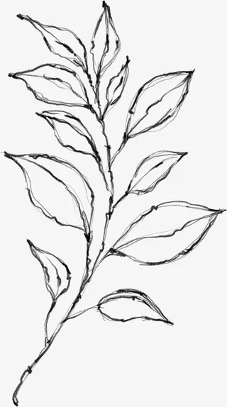 水墨植物元素7免抠