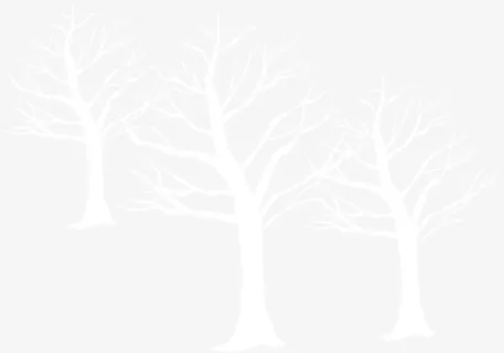 冬季白色树林装饰免抠