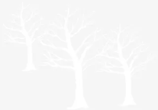 冬季白色树林装饰免抠