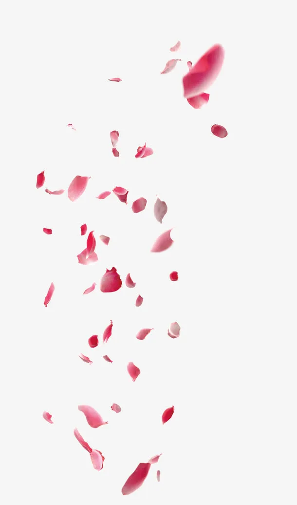 粉色玫瑰花花瓣漂浮素材免抠