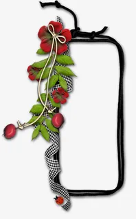 绳索绿叶边框免抠