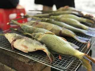 金秋烧烤季之烤鱼高清