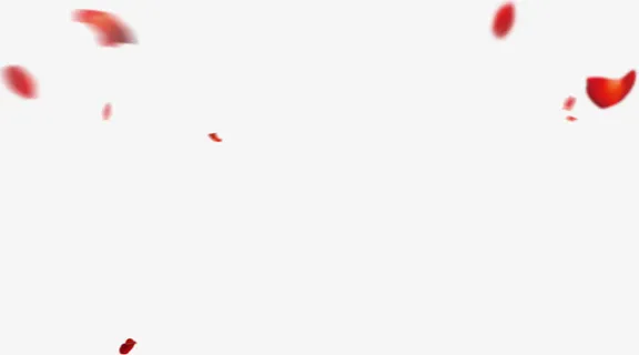 红色花瓣漂浮元素免抠
