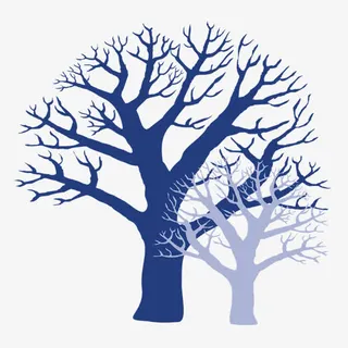 树的轮廓图免抠