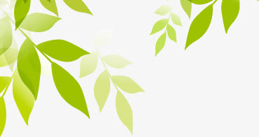 春天梦幻星光绿叶装饰免抠