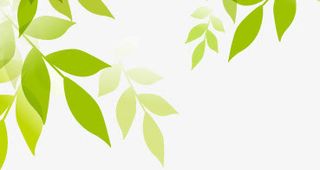 春天梦幻星光绿叶装饰免抠