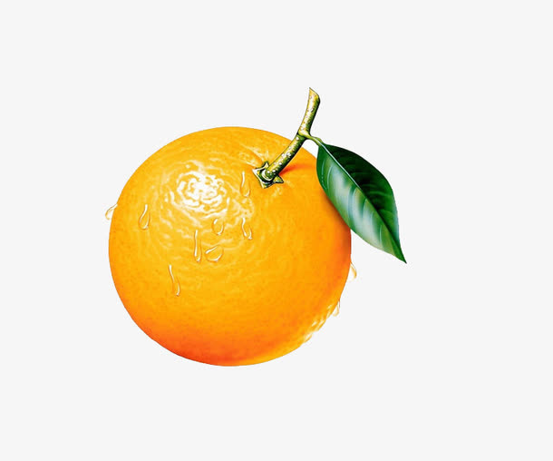 橙子免抠