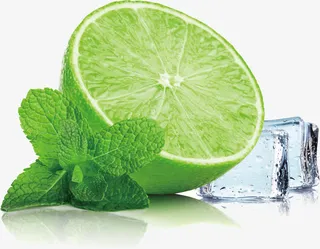 青柠檬冰块免抠动植物植物元素