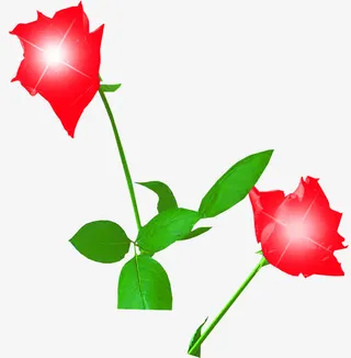 绿叶红色星光花朵免抠