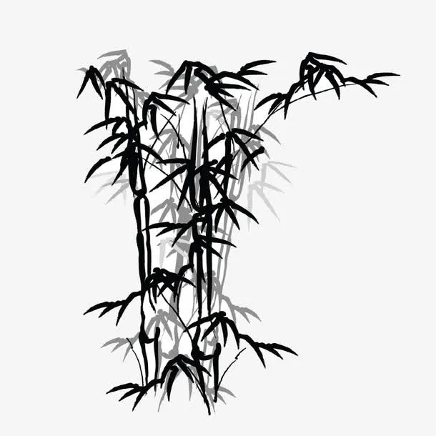 花纹花边免抠