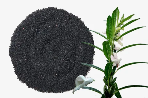 实物纯黑芝麻免抠 实物纯黑芝麻免抠
