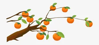 卡通果树柿子免抠