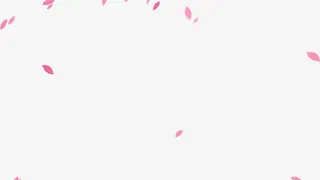 粉色唯美花瓣免抠