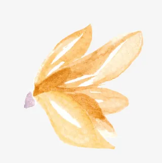 水彩印第安民族风专辑免抠