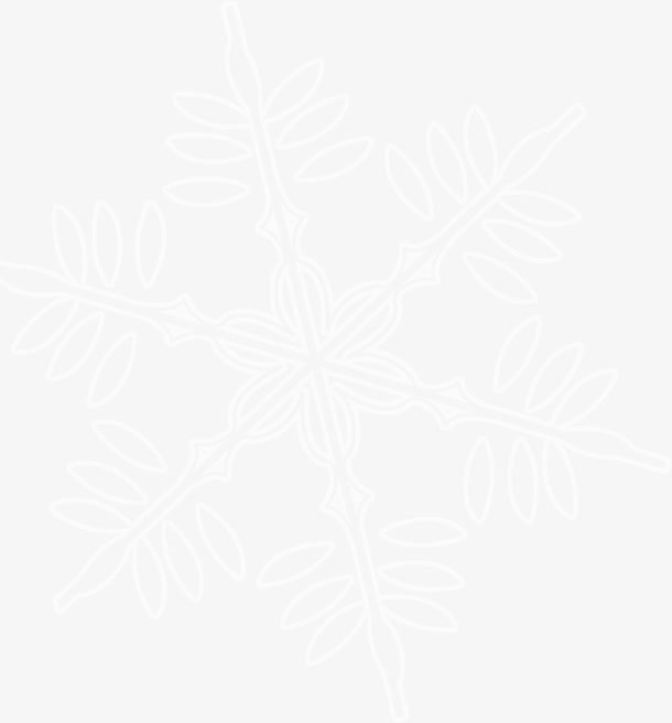 白色简约朦胧树枝免抠