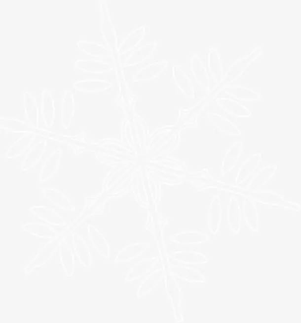 白色简约朦胧树枝免抠