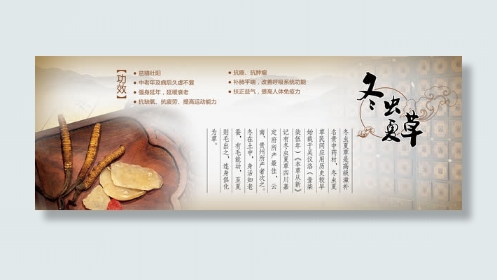 中药冬虫夏草免抠