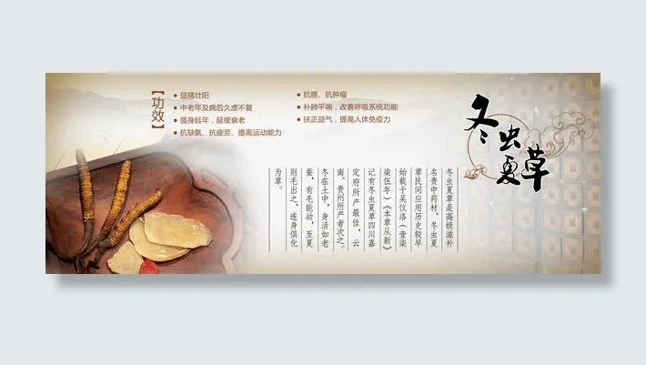中药冬虫夏草免抠