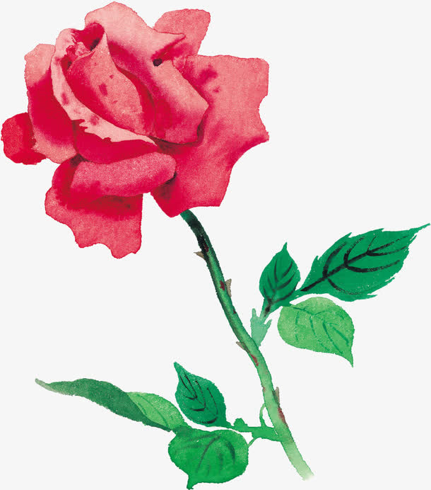 花卉免抠