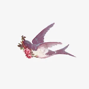 水彩鸟玫瑰花免抠