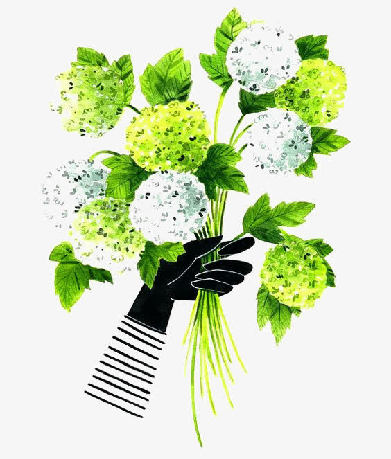 一束鲜花免抠