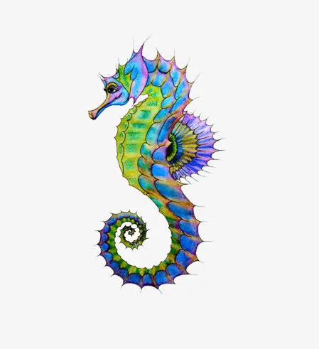 彩色的海马素材图片免抠