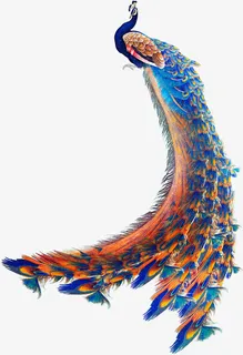手绘蓝色羽毛孔雀免抠 手绘蓝色羽毛孔雀免抠