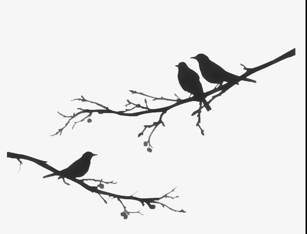 中国风 鸟和树枝免抠