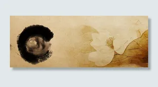 中国风水墨荷花渲染背景高清