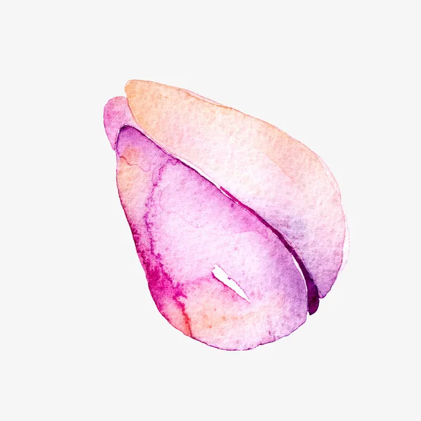 高清免抠手绘水彩花蕾素材免抠