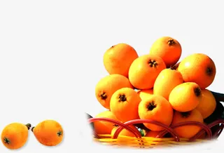 琵琶素材图片免抠