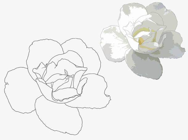 手绘玉兰花免抠