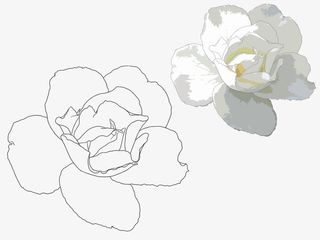 手绘玉兰花免抠