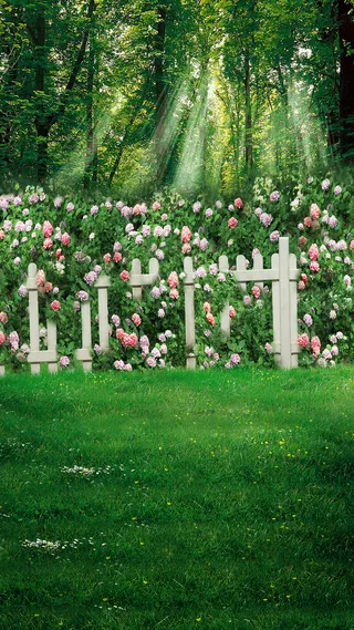 绿荫围栏小清新H5背景高清