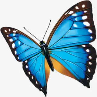 蓝色唯美飞舞蝴蝶美景免抠
