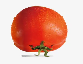 卡通西红柿免抠